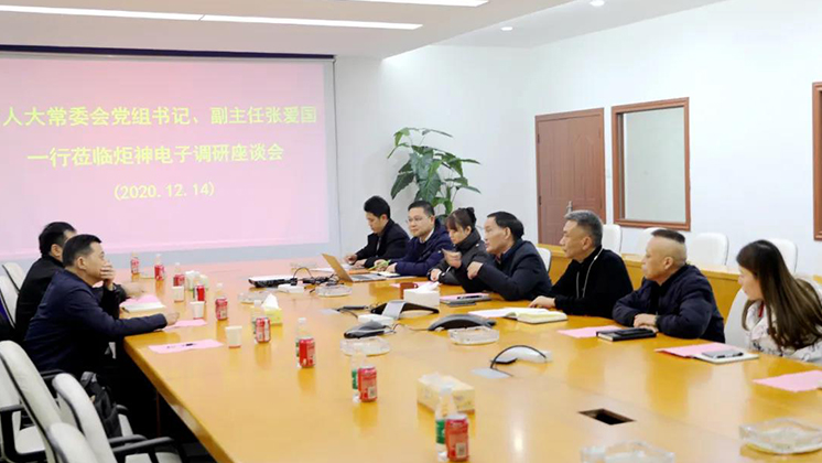 郴州市人大常委會黨組書記、副主任張愛國到炬神電子調研安全生產工作